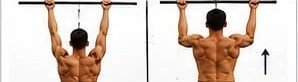 Esecuzione: Scapular pull-up
